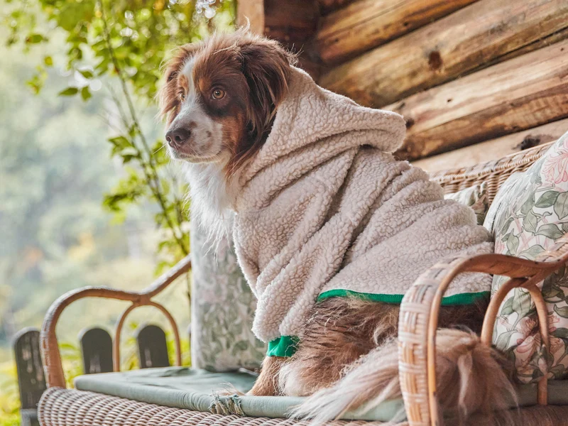 Hoodie en sherpa tout doux, pour chien
