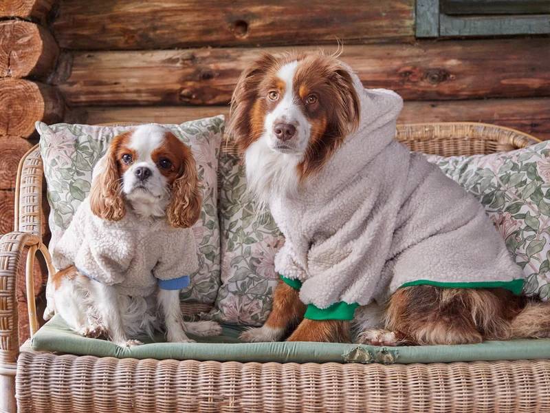 Hoodie en sherpa tout doux, pour chien