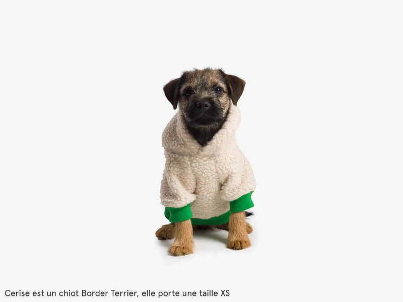 Hoodie en sherpa tout doux, pour chien