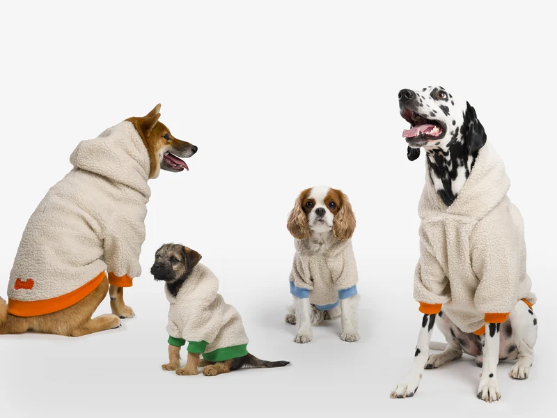 Hoodie en sherpa tout doux, pour chien