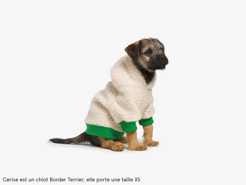 Hoodie en sherpa tout doux, pour chien