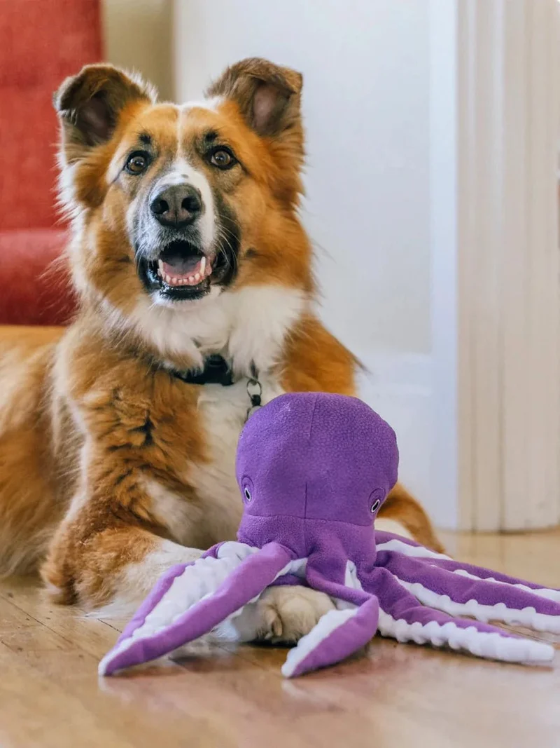 Peluche pour chien Pieuvre Ocean Buddies Pet PLAY 🐙