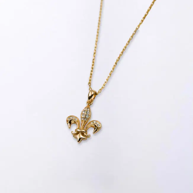 Collier Fleur de Lys dans sa boîte en velours bleu