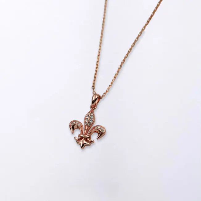 Collier Fleur de Lys dans sa boîte en velours bleu