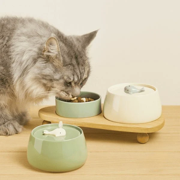 Fontaine à eau chat en céramique durable - NaturaFresh™
