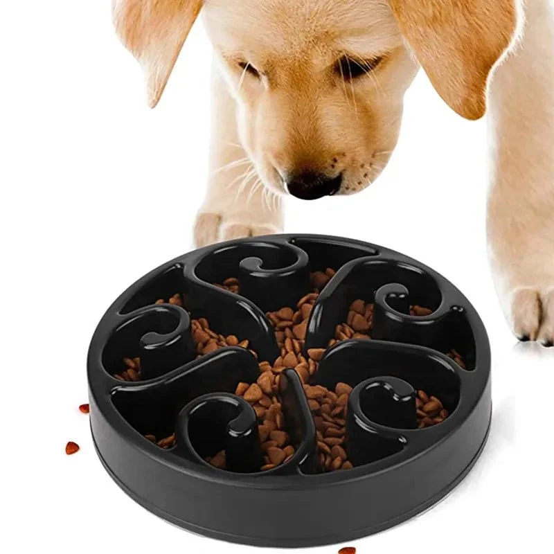 Meilleure gamelle anti glouton chien
