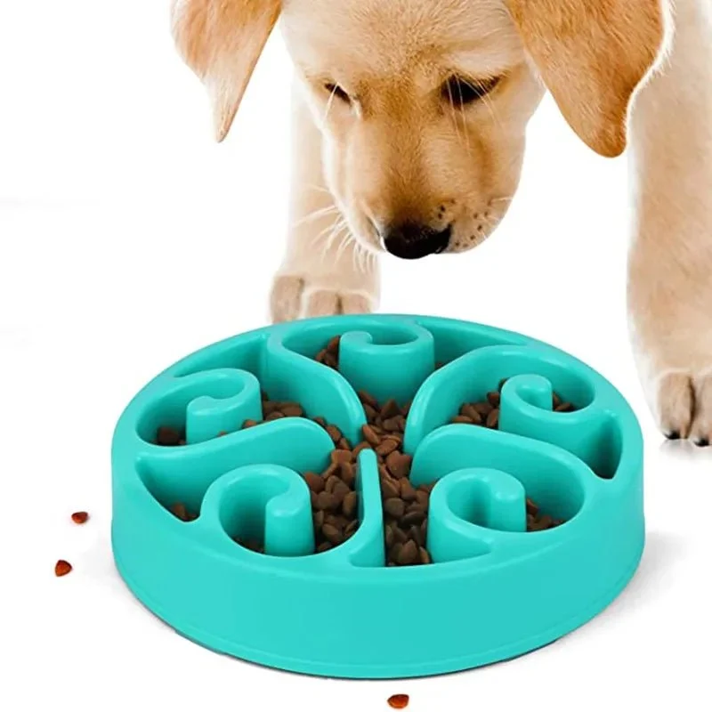 Meilleure gamelle anti glouton chien