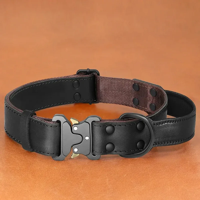 Collier chien cuir luxe