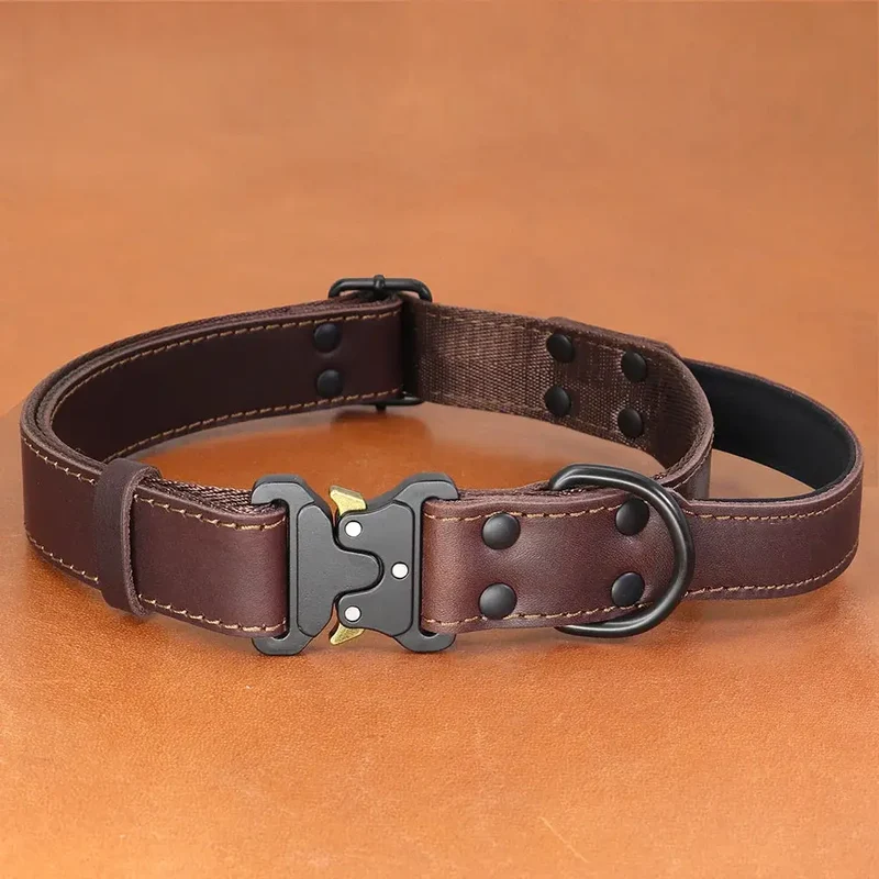 Collier chien cuir luxe