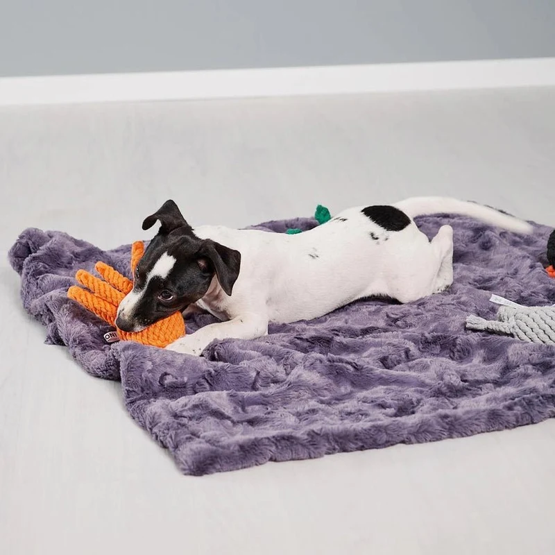 Jouet en corde pour chien Carlo Tentacule LABONI 🐙