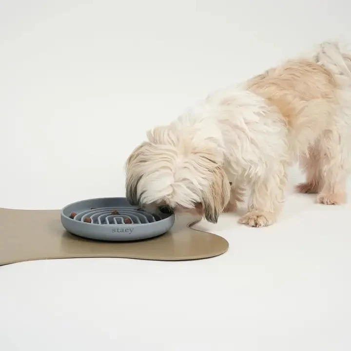 Gamelle anti-glouton pour chien design grise Staey — Repas & Éveil 🐾