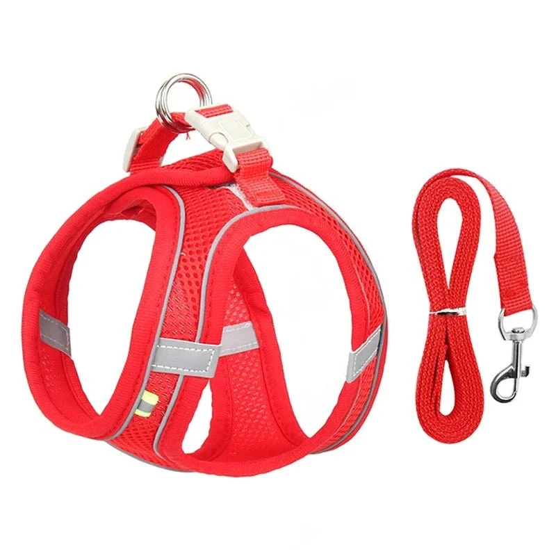 Harnais pour petit chien bichon maltai