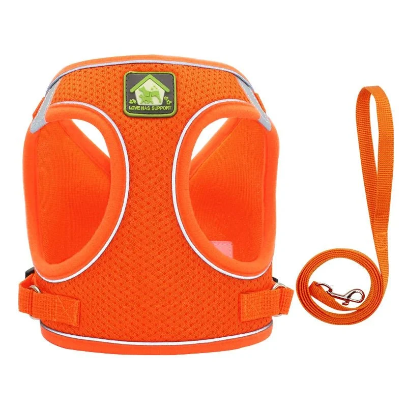 Harnais pour petit chien 4 kg