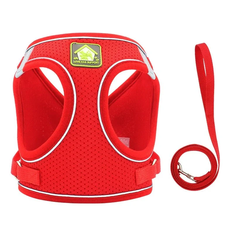 Harnais pour petit chien 4 kg
