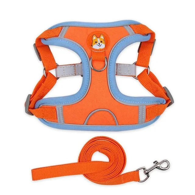 Harnais pour petit chien 5 kg
