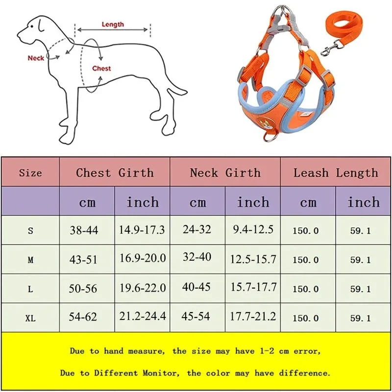 Harnais pour petit chien 5 kg
