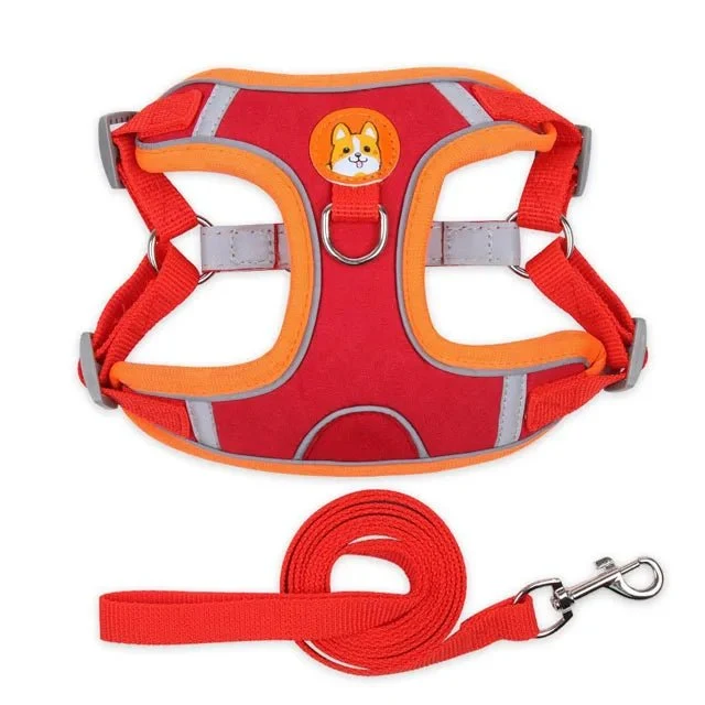 Harnais pour petit chien 5 kg