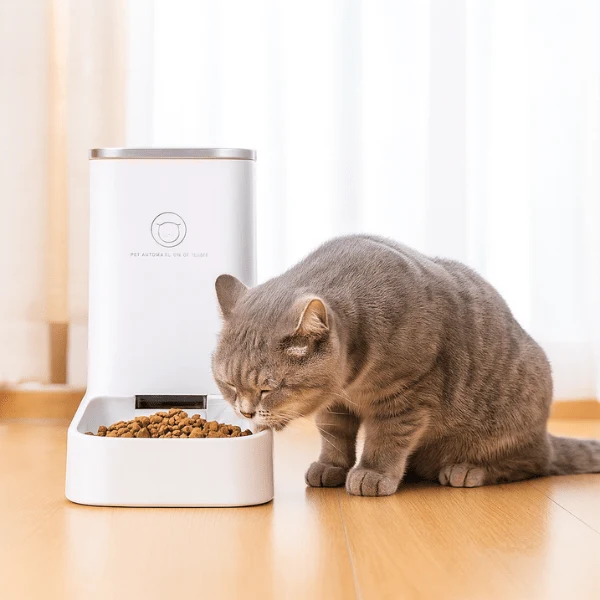 Distributeur croquettes chat - DesignFeed™