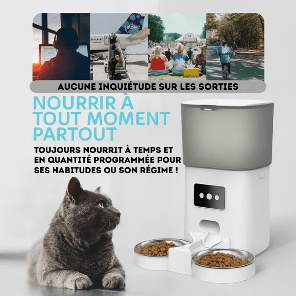 Distributeur automatique de croquettes chat - TwinBowl Feeder™