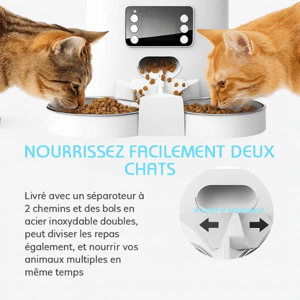 Distributeur automatique de croquettes chat - TwinBowl Feeder™