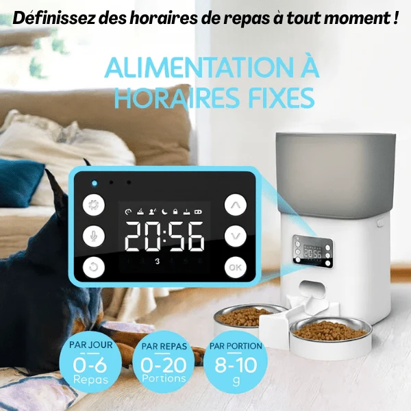 Distributeur automatique de croquettes chat - TwinBowl Feeder™