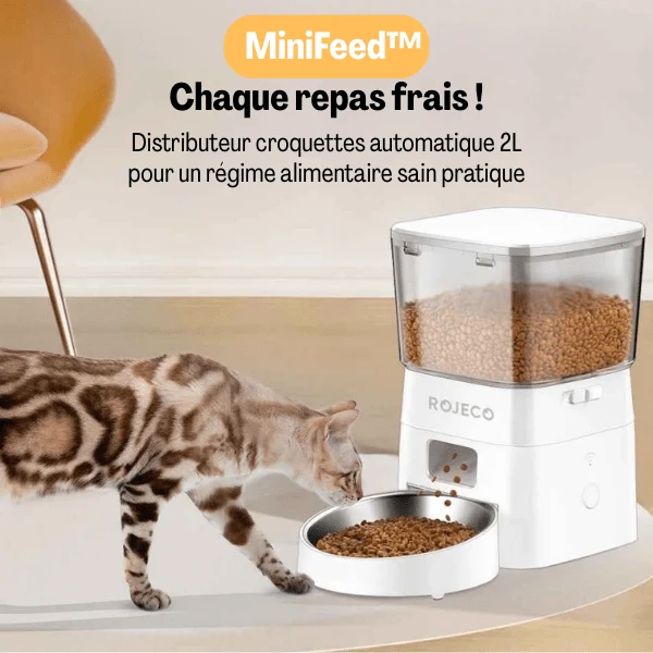 Distributeur croquettes pour chat automatique - MiniFeed™