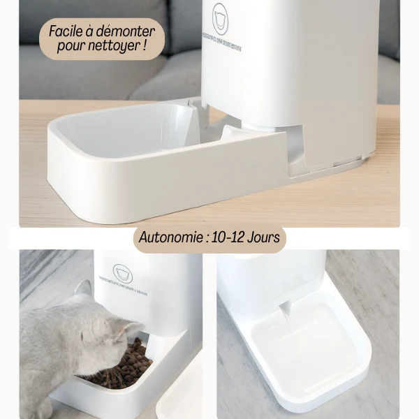 Distributeur croquette chat - DesignFeed™ - Pack x2