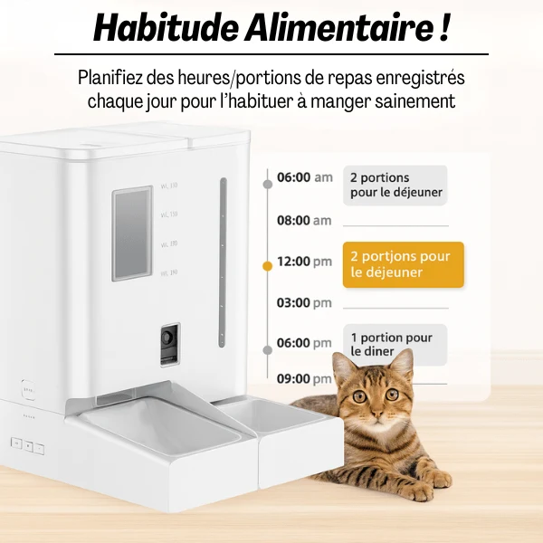 Distributeur de croquettes chat - automatique et eau - FullFeeder™