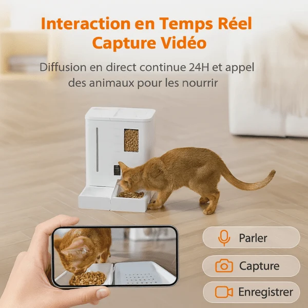 Distributeur de croquettes chat - automatique et eau - FullFeeder™