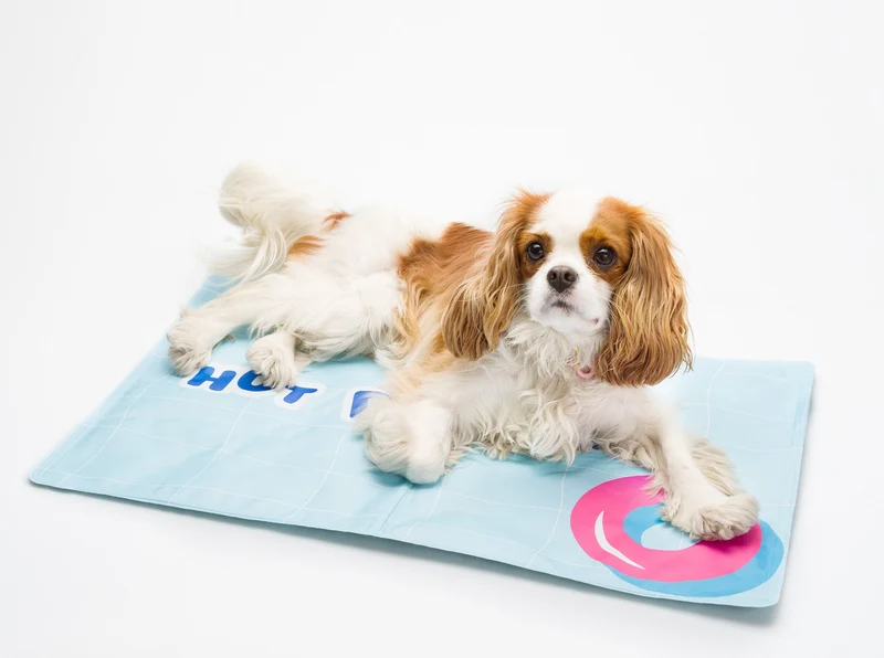 Tapis en gel frais pour chien et chat