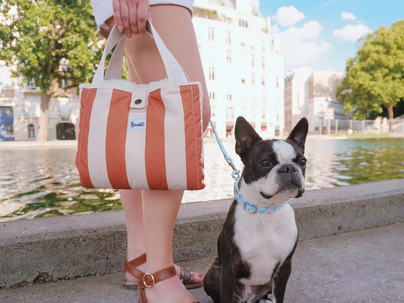 Panier d'appoint pour chien
