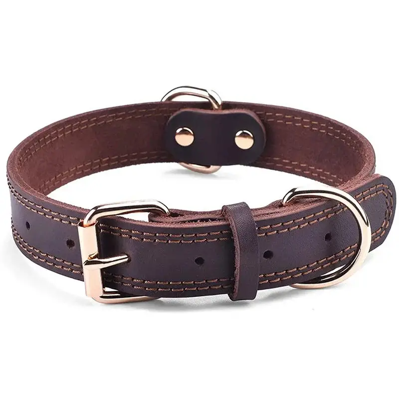 Collier chien cuir haut de gamme