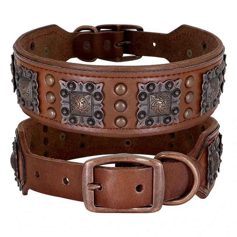 Collier chien cuir large