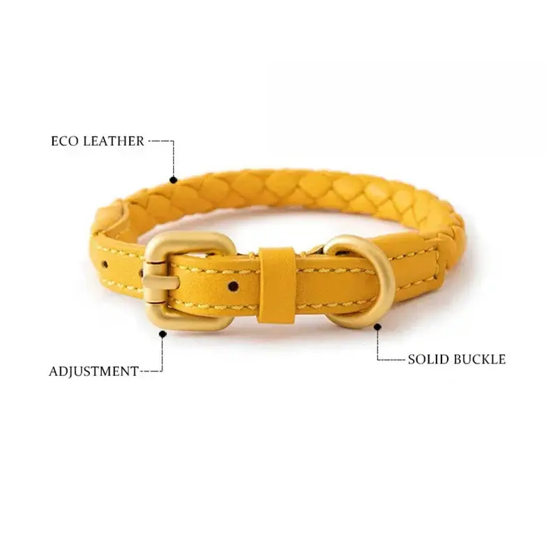 Collier chien cuir rond