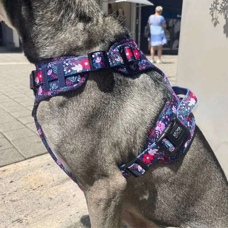 Harnais pour chien anti-traction Violala – Comfy chic & fleuri