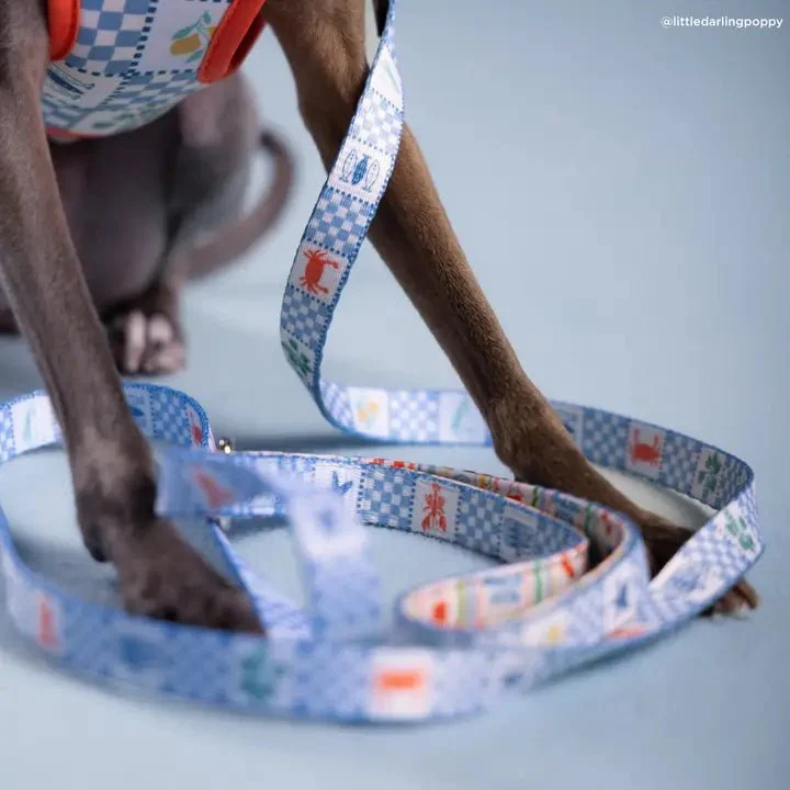 Laisse pour chien ensoleillé en Sicile Lucy & Co. – sécurité & style