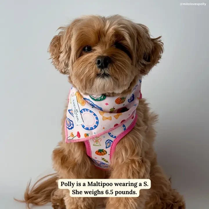 Bandana pour chien dolce vita Lucy & Co. – charme italien
