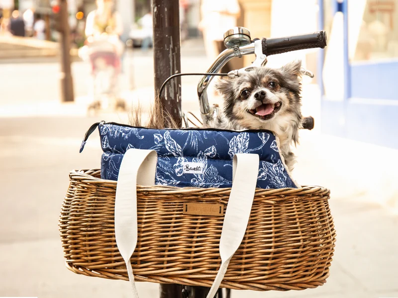 Sac pour chien, motif exotique