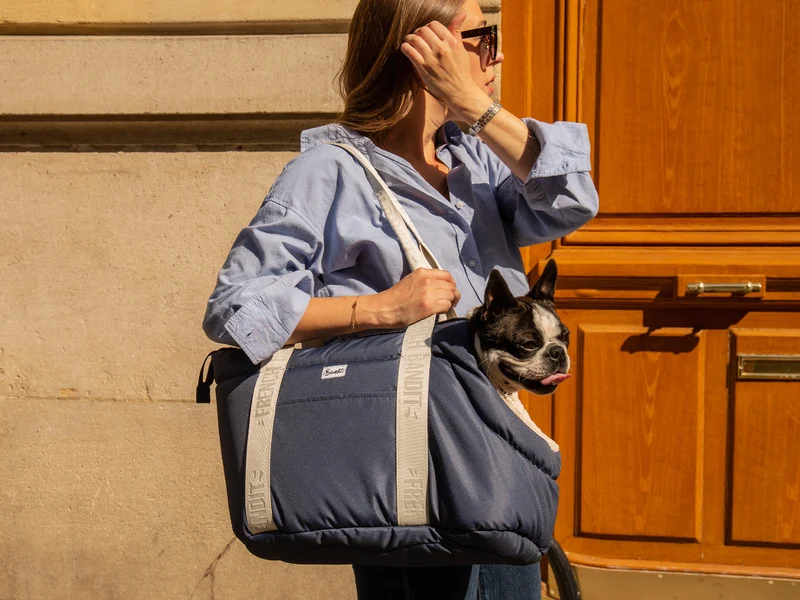 Sac pour chien, motif uni