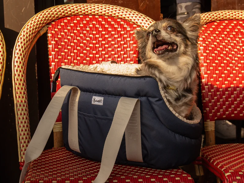 Sac pour chien, motif uni