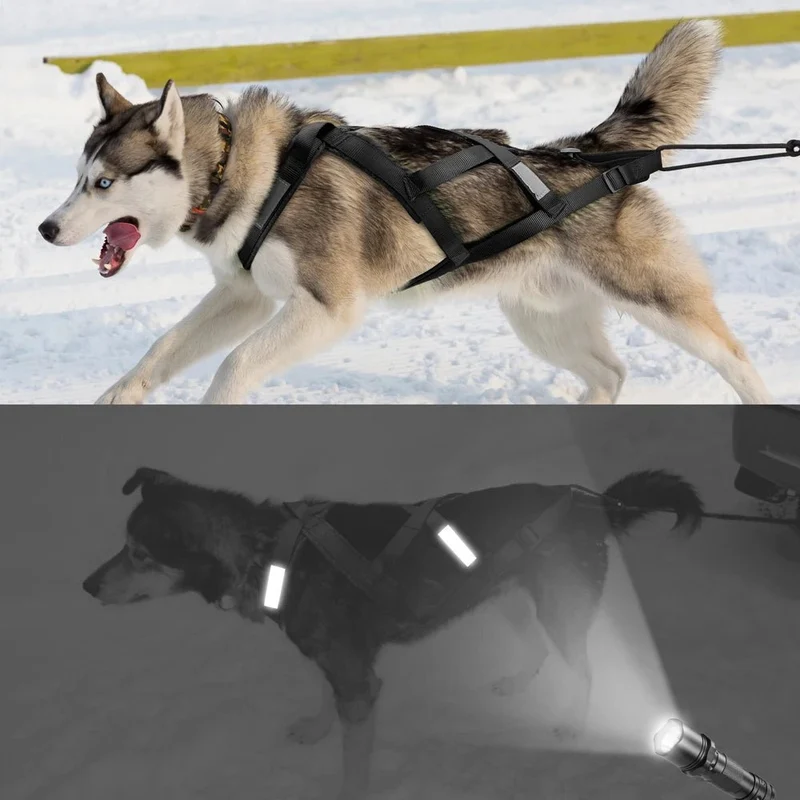 Harnais de traineau pour chien