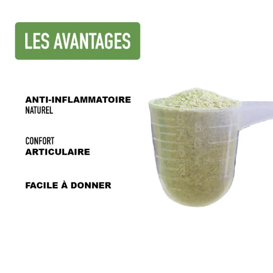 Poudre de kelp pour chien et chat – tartre et haleine fraîche