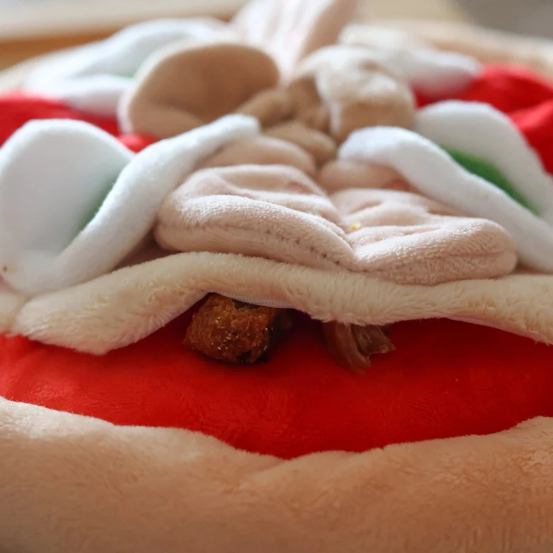 Tapis de fouille chien Pizza 🍕 – jeu renifleur gourmand