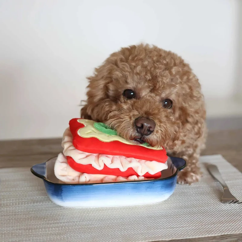Jouet de fouille chien Lasagne 🍝 – jeu d’occupation gourmand
