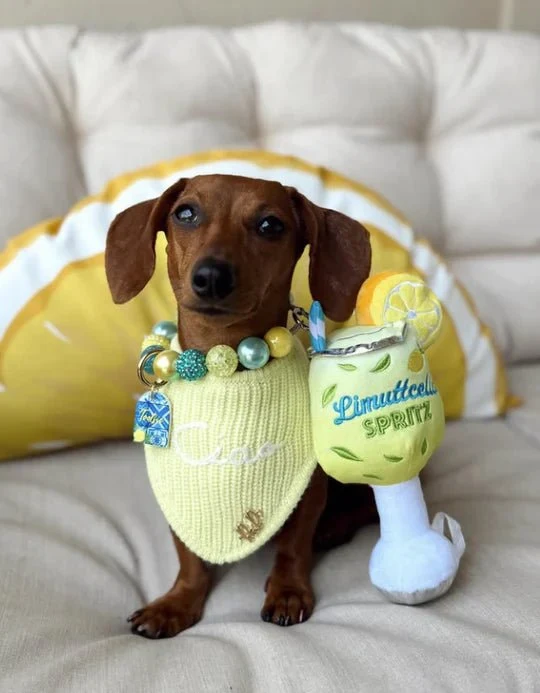 Peluche pour chien avec couineur limuttcello spritz