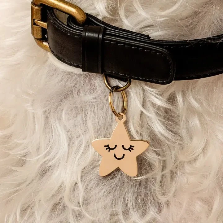 Médaille gravée pour chien personnalisable Smiling Star