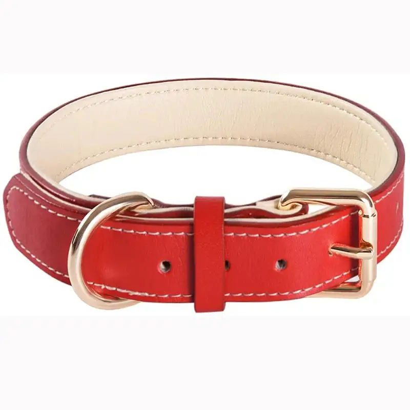 Collier chien rouge en cuir