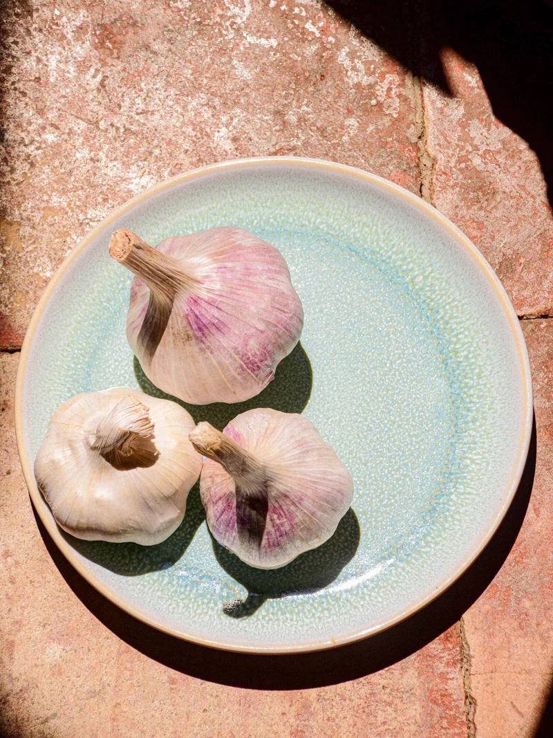 Petite assiette | Vert minéral