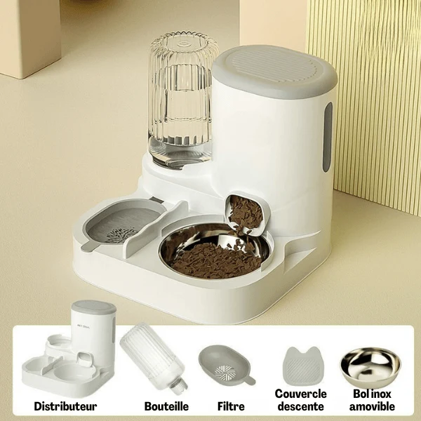 Distributeur croquettes chat | LuxeBowl™