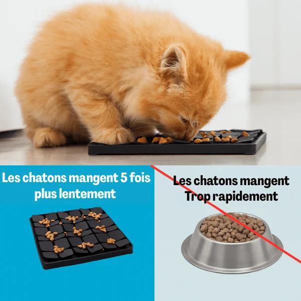 Gamelle anti glouton chaton - Éducative de fouille - MeowMeal™